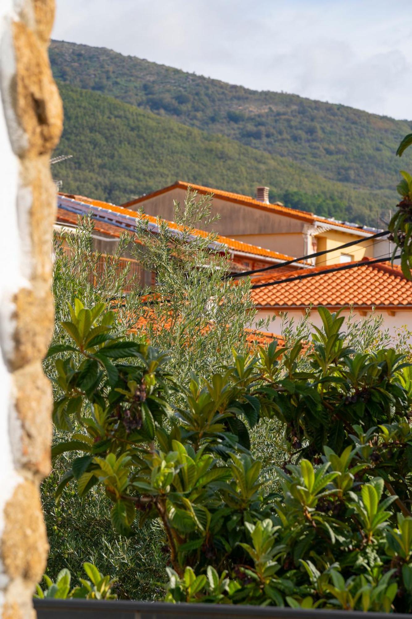 At San Miguel O Apartment Jarandilla de la Vera Bagian luar foto